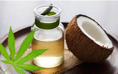 Choose One From The 7 Best CBD Coconut Oils of 2021