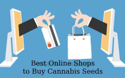 11 Best Online Shops to Buy Cannabis Seeds