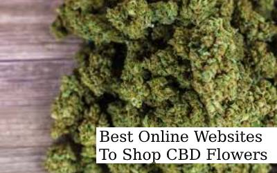 11 Best Online Websites To Shop CBD Flowers