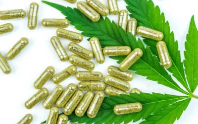 11 Best CBD Capsules and Edibles In The Market
