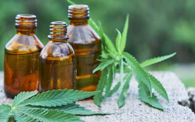 Top 10 CBD Oil Products in Europe