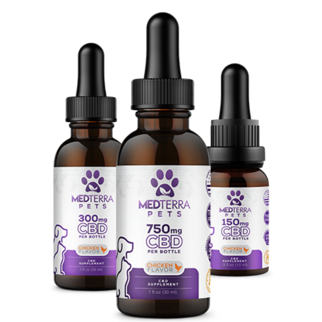 10 Best CBD Oil for Dogs You Must Try CBDWellness
