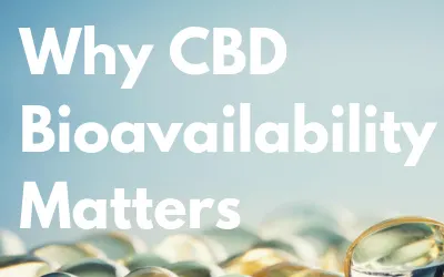 What is CBD Bioavailability and Why does it Matter?