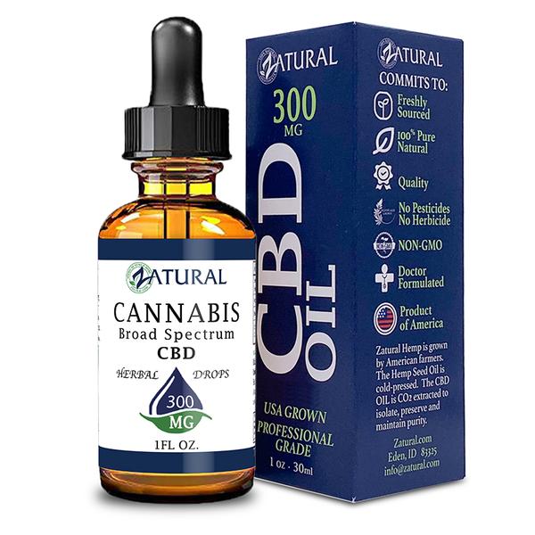 10 Best CBD Oils To Buy In 2021 - CBDWellness