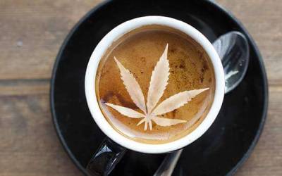 What Are The Benefits Of Mixing CBD and Coffee?