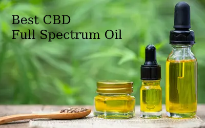 13 Best CBD Full Spectrum Oil Which You Can Buy Online