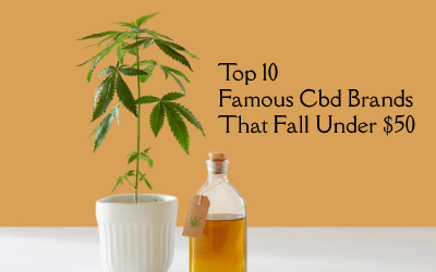 Top 10 Famous Cbd Brands That Fall Under $50