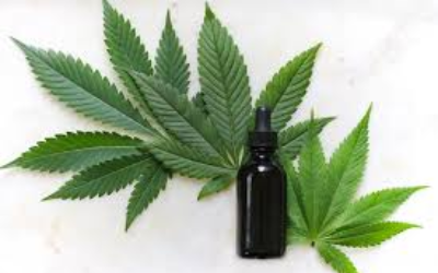 Points You Need to Consider About CBD Labels
