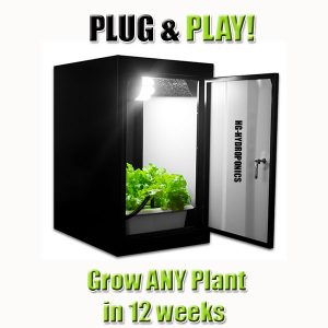 The Hobby Stealth Grow Cabinet