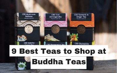 9 Best CBD Teas to Buy at Buddha Teas